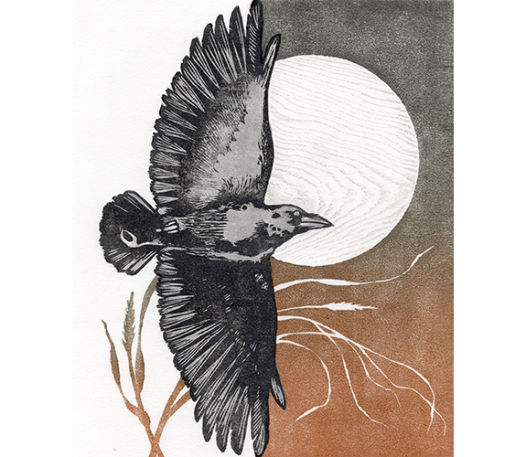 “Crow Moon” - Kristen Etmund